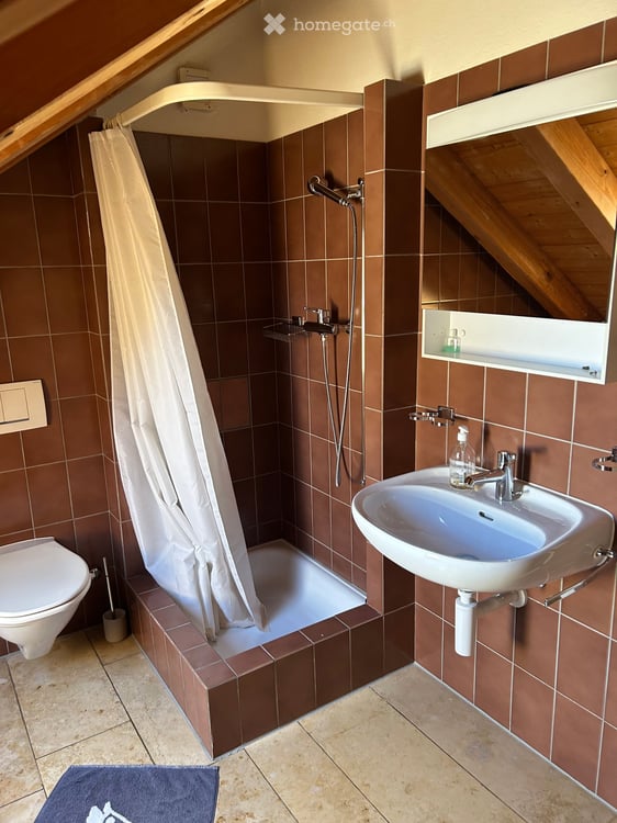Spacious 6.5-Room Semi-Detached House for Rent in Binningen 12