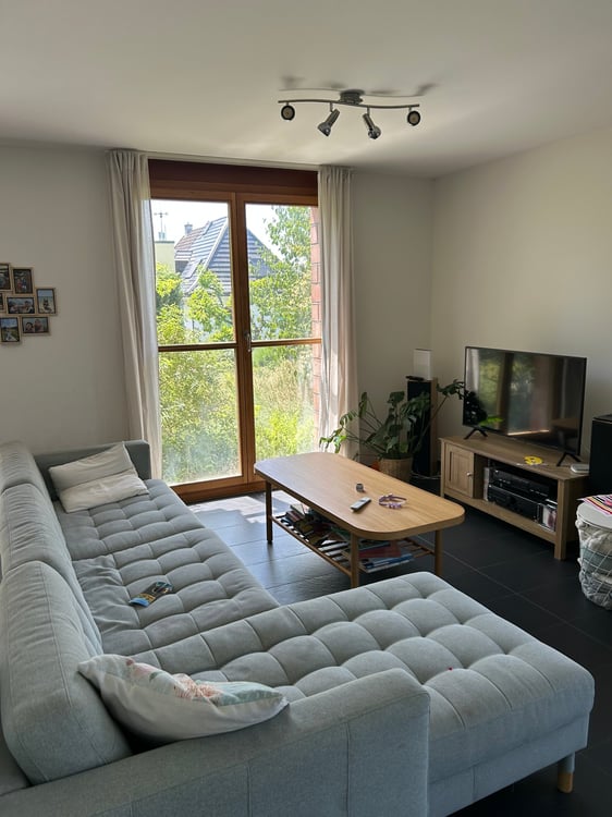 Spacious 6.5-Room Semi-Detached House for Rent in Binningen 5