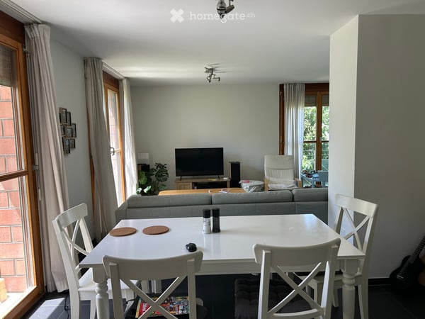 Spacious 6.5-Room Semi-Detached House for Rent in Binningen 7