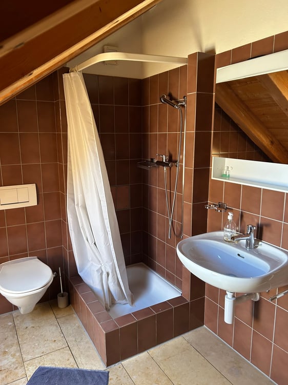 Spacious 6.5-Room Semi-Detached House for Rent in Binningen 5