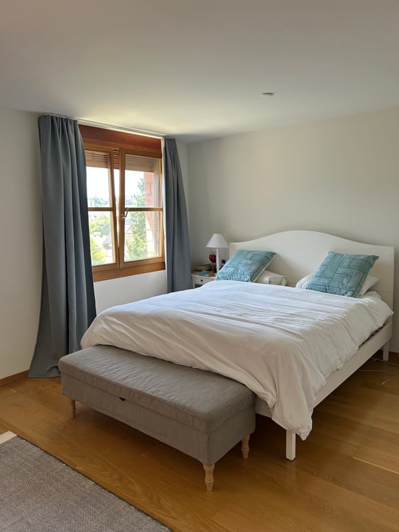Spacious 6.5-Room Semi-Detached House for Rent in Binningen 2