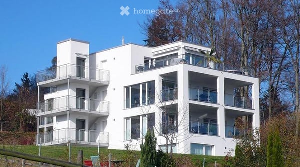 Helle 4.5-Zimmer-Wohnung mit traumhaftem See- und Bergblick in Richterswil