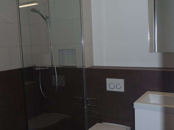 3.5-Zimmerwohnung mit grossem Aussenbereich 4