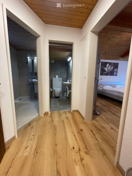 Profitables Hotel Restaurant in Disentis GR 5