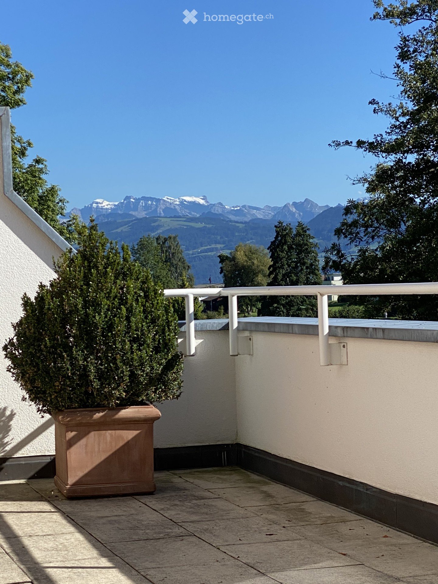 Balcony with a potted plant, white railing, and scenic mountain view.