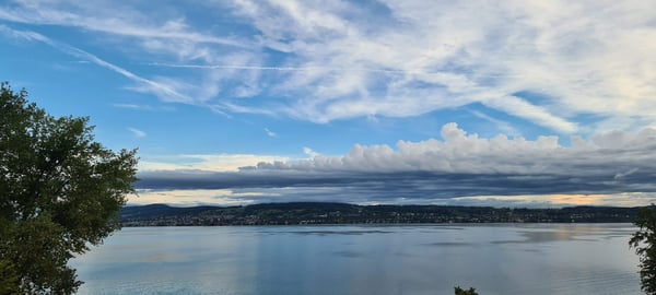 Aperçu de l'image de l'immobilier