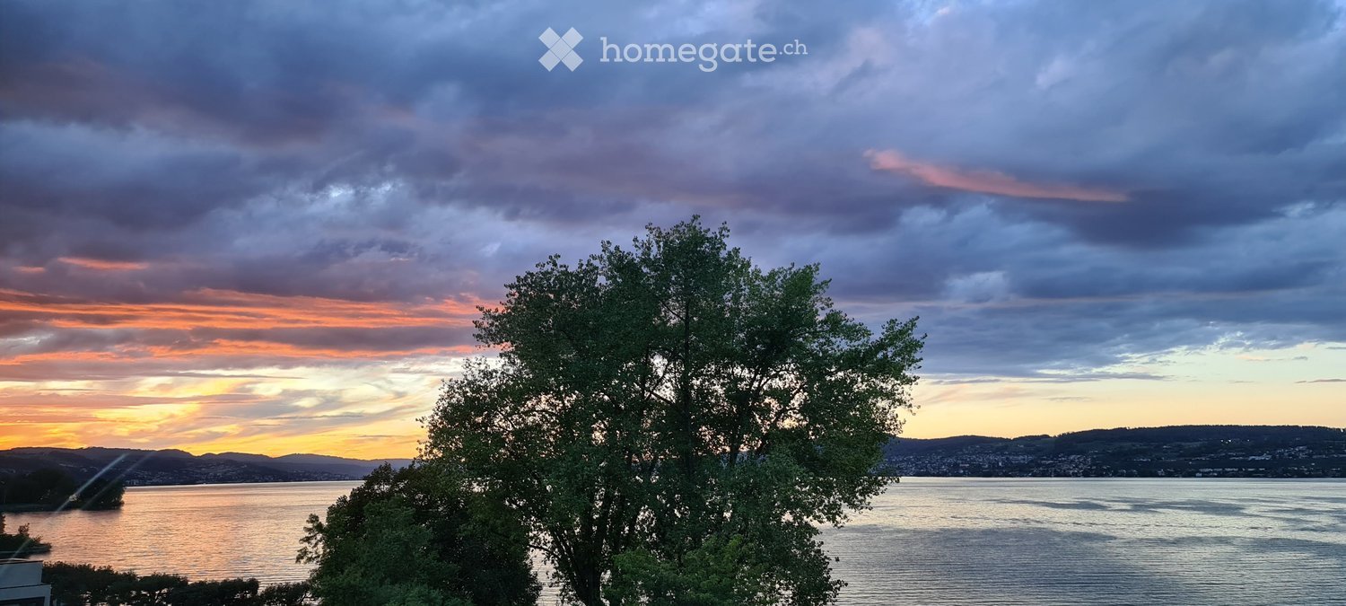 Scenic view of a lake at sunset with a tree in the foreground and distant cityscape.