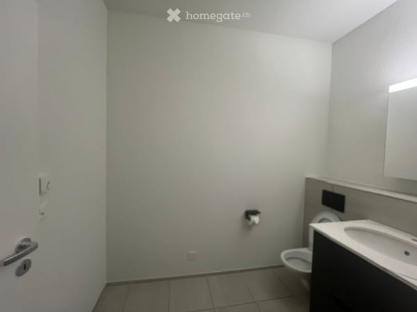 Moderne 3.5-Zimmer-Wohnung im Richtiareal 19