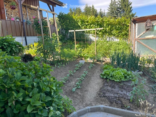 Natur Pur: 1.5 Zimmerwohnung, gemütlich & gepflegt mit eigenem Eingang 5
