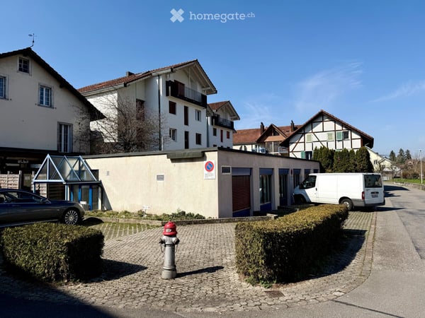 Ihre Ideen brauchen Raum? Wir haben den Raum, Sie bringen die Idee! Gewerberäume in Reinach 11