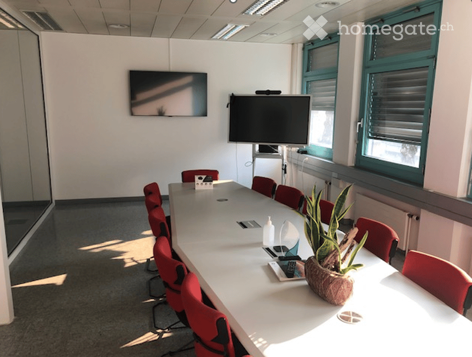 Conference room with a long white table, red chairs, two screens on the wall, and a small plant on the table.