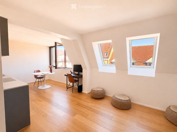 Bright, Newly Renovated Apartment in Prime Zurich Wiedikon Location 1