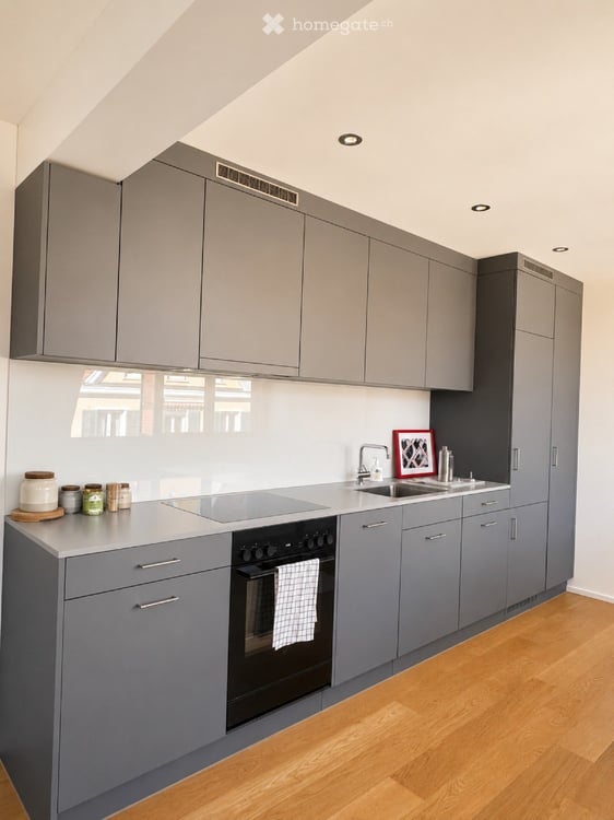 Bright, Newly Renovated Apartment in Prime Zurich Wiedikon Location 2