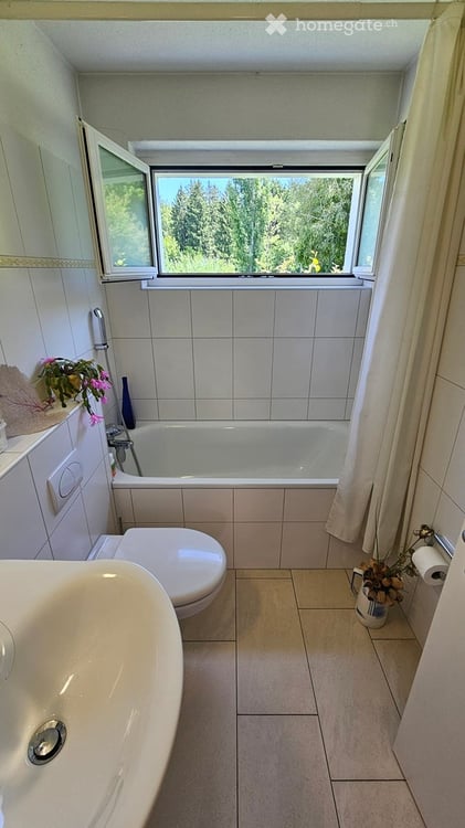 Herrliche Panorama-Aussicht am Waldrand, ruhige 4-Zimmer-EG-Wohnung mit Garten in Oberlunkhofen 9