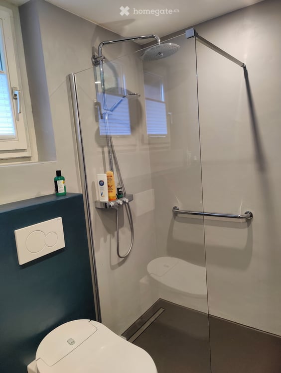 Charmantes 4.5-Zimmer-Doppeleinfamilienhaus in Danis, Graubünden 5