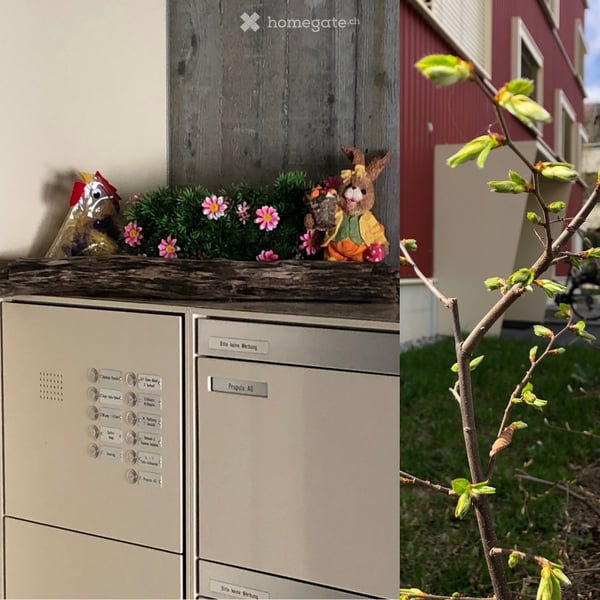 Helle 4.5-Zimmer-Wohnung an bester Lage 4