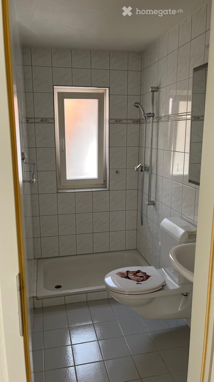 Charmante 4.5-Zimmer-Wohnung mit Balkon und Garage | Ideal als Familienwohnung oder Renditeobjekt 5