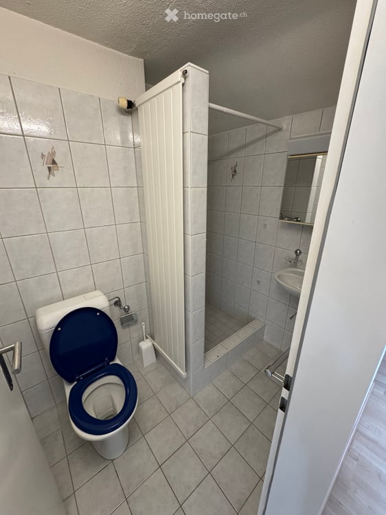 Geräumige 5.5-Zimmer-Wohnung in Nürensdorf 21