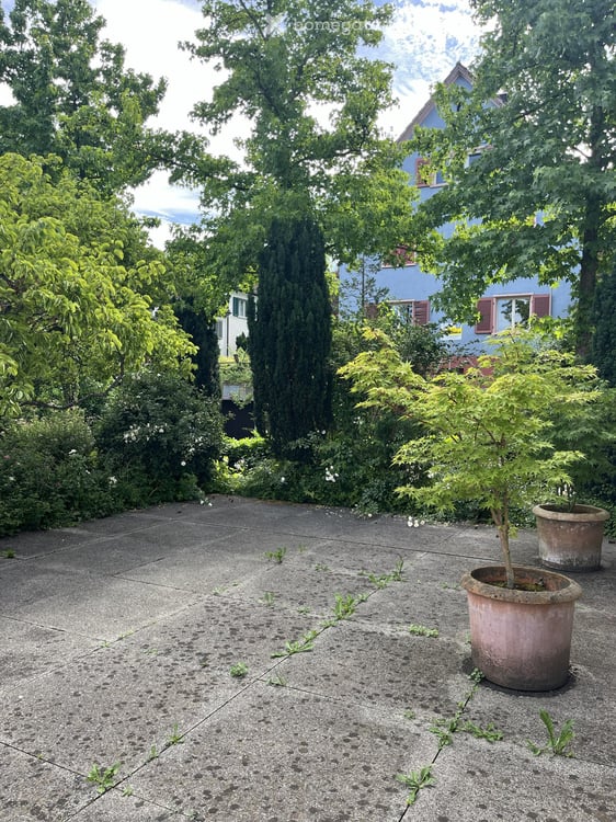 Lichtdurchflutete 2.5-Zimmer-Wohnung mit Gartensitzplatz 6