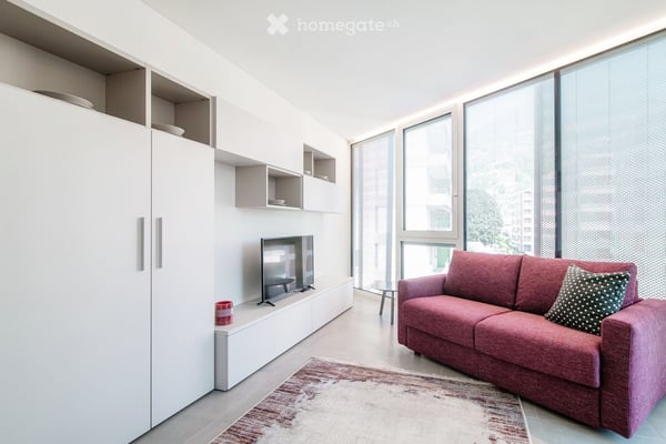 Appartamento arredato di 2.5 locali in vendita a Lugano – Via al Lido 1 14