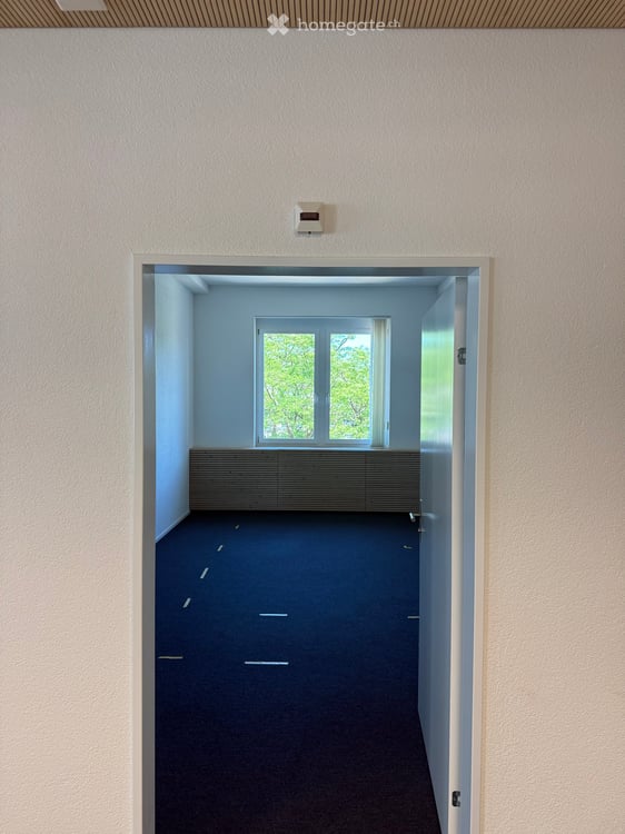 Nachmieter gesucht: Helles 6.5-Zimmer-Büro an zentraler Lage in Olten 3