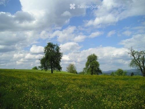 Familienparadies in der Natur am Bach, nahe Zürich Wohnen im Grünen in Egg b. Zürich 4
