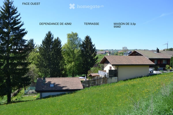 Charmante maison individuelle de 3.5 pièces à Forel (Lavaux) 9