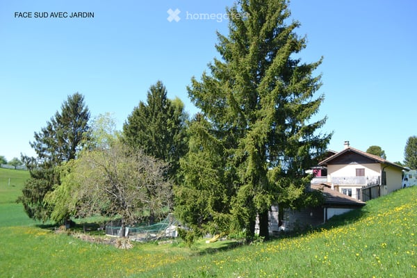 Charmante maison individuelle de 3.5 pièces à Forel (Lavaux) 10