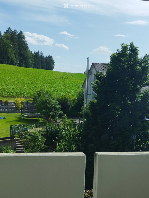 Helle 3.5-Zimmer-Wohnung mit Balkon und schöner Aussicht 1