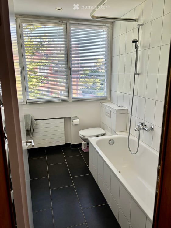Wonig am Züribärg 6