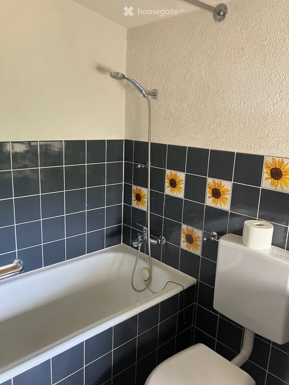 Charmantes 4-Zimmer-Doppeleinfamilienhaus zur Miete in Starrkirch-Wil 5