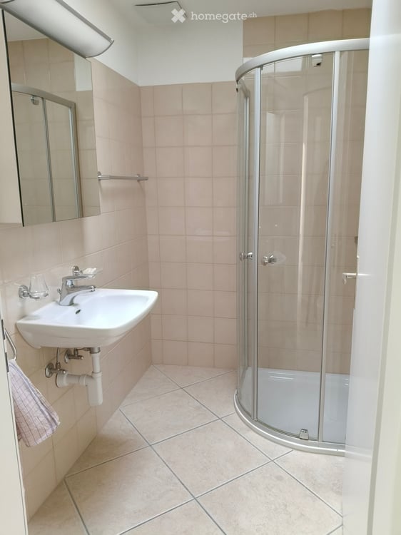 Grosszügige 4.5-Zimmer-Attika-Wohnung mit Terrasse und schöner Aussicht in Aesch BL 10