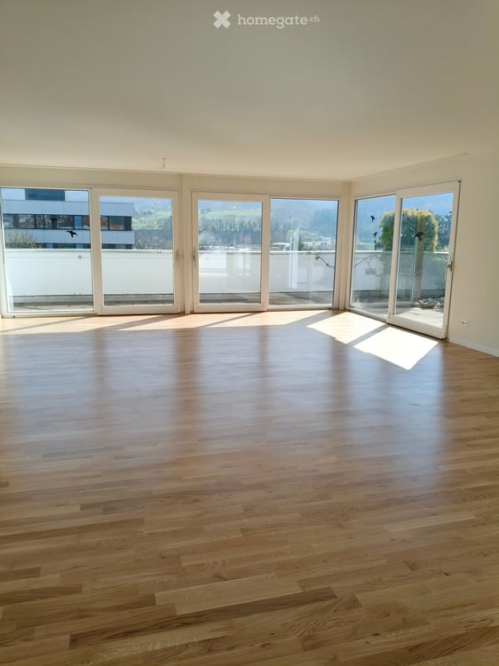 Grosszügige 4.5-Zimmer-Attika-Wohnung mit Terrasse und schöner Aussicht in Aesch BL 1