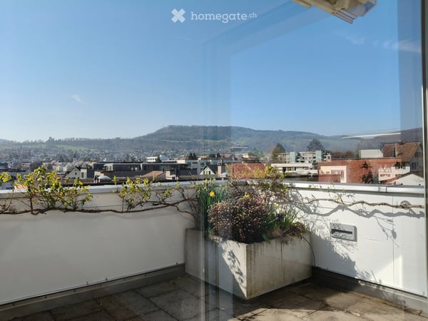 Grosszügige 4.5-Zimmer-Attika-Wohnung mit Terrasse und schöner Aussicht in Aesch BL 3