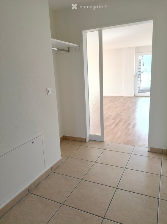 Grosszügige 4.5-Zimmer-Attika-Wohnung mit Terrasse und schöner Aussicht in Aesch BL 7