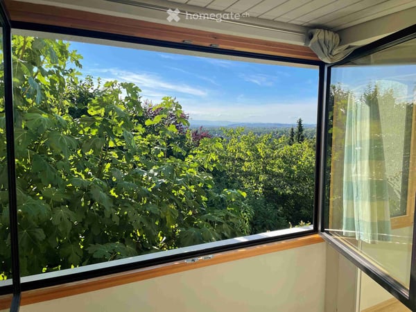 Einfamilienhaus Haus mit 4 Schlafzimmern, Doppelgarage in Riehen 9