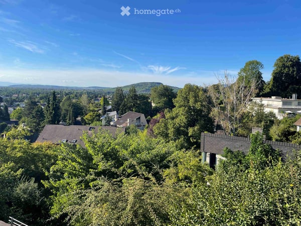 Einfamilienhaus Haus mit 4 Schlafzimmern, Doppelgarage in Riehen 3