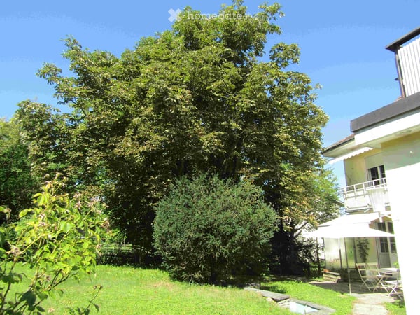 5-Zimmer Familien-Gartenwohnung in Kreuzlingen - sehr bevorzugte, ruhige Lage – per 01. Oktober 2026 29