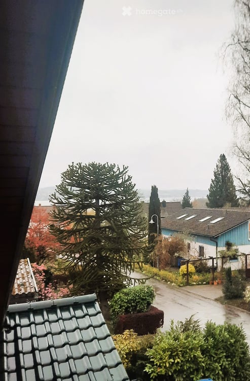 Exklusive Villa in privilegierter Ruhelage – 500 m zum Bodensee | ELW & Ferienvermietung möglich 5