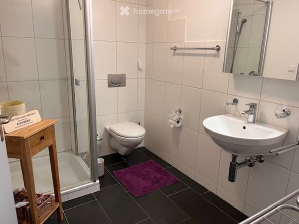 Charmante 4.5-Zimmer-Dachwohnung mit Kamin und Balkon in Kriessern 8