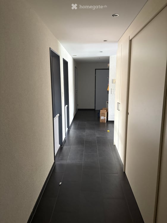 Charmante 4.5-Zimmer-Dachwohnung mit Kamin und Balkon in Kriessern 14