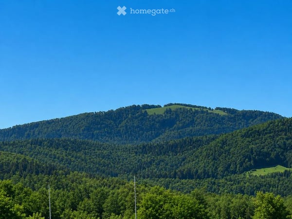 Charmantes Einfamilienhaus an ruhiger Lage in Himmelried 14