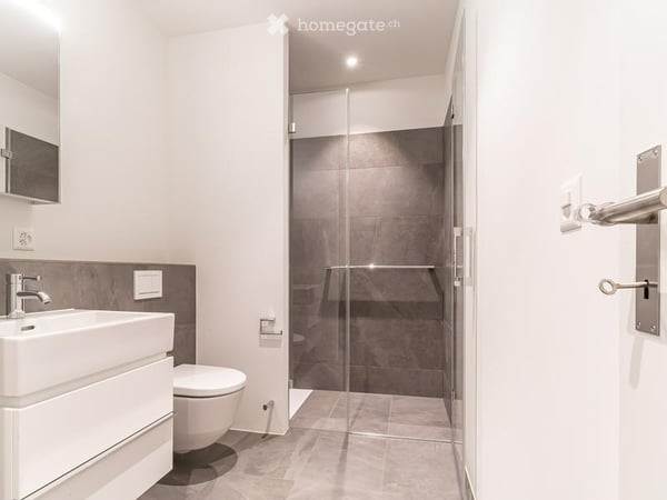 Exklusive Loftwohnung mit privatem Garten in Basel – modern, ruhig und sofort verfügbar 7