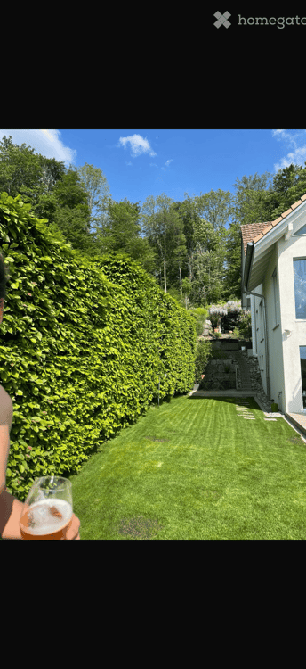 Grosszügiges 6.5-Zimmer-Einfamilienhaus in Bonstetten – ab September 2026 zu vermieten 9