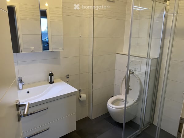 Wohnung in Rickenbach ZH 3