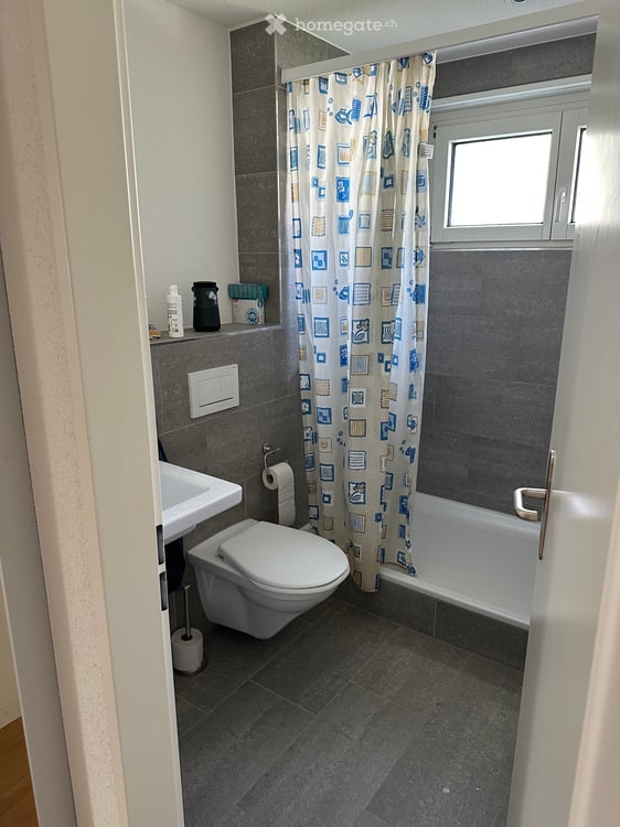 Wohnung in Glattpark (Opfikon) 2