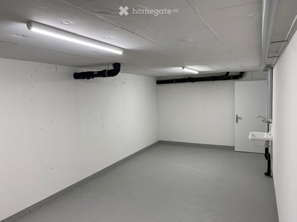 25m2 Hobbyraum in Zufikon 5