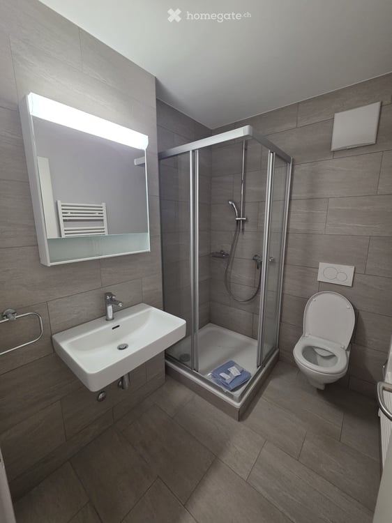 Schöne 1.5 Zimmer-Wohnung in Münchenstein 2