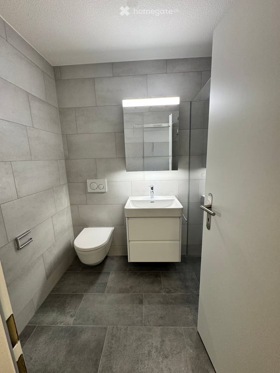 Neue 3 1/2 Zimmer-Wohnung inkl. Garage 3