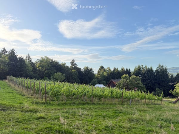 Ein Bauernhof als Zuhause – 40'000 m² Natur, Pool, Sauna & Pferdestall 31